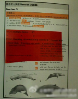 2011年10月8日雅思考試聽力回憶